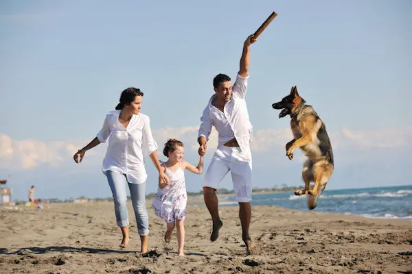 Family on the beach with dog